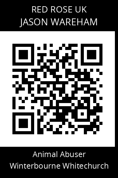 QR code for jason-wareham