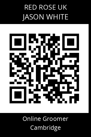 QR code for jason-white-1