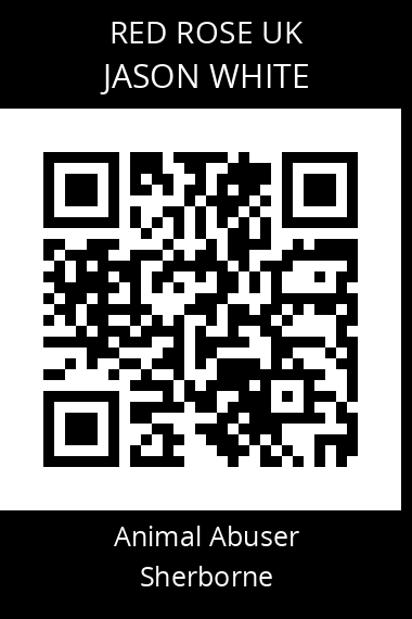 QR code for jason-white