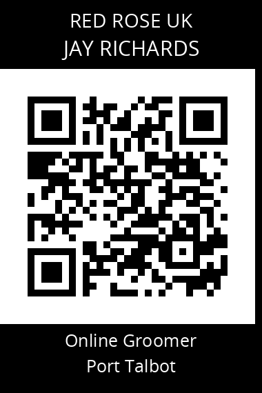 QR code for jay-richards