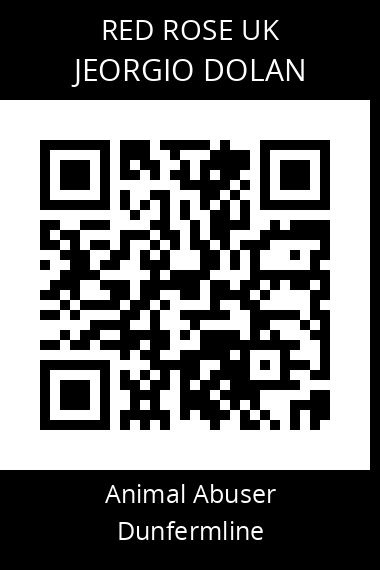 QR code for jeorgio-dolan