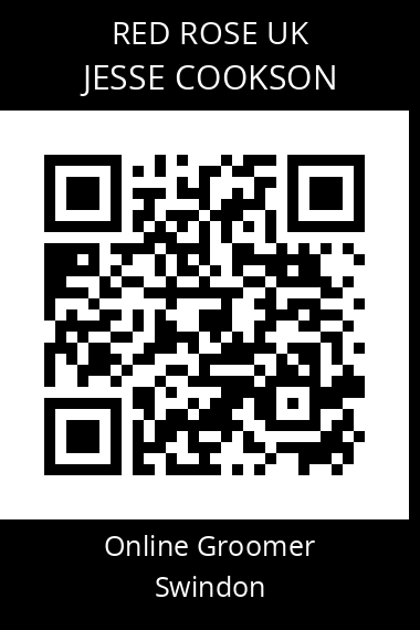 QR code for jesse-cookson