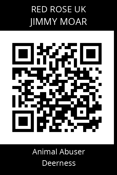 QR code for jimmy-moar