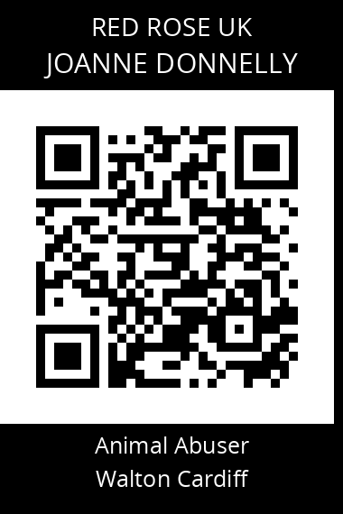 QR code for joanne-donnelly