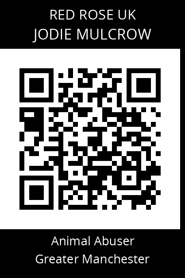 QR code for jodie-mulcrow