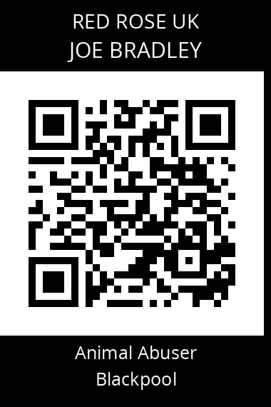 QR code for joe-bradley