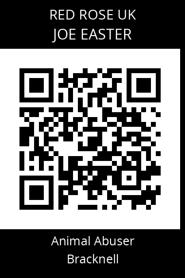 QR code for joe-easter