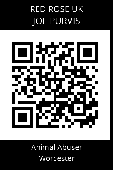 QR code for joe-purvis-2