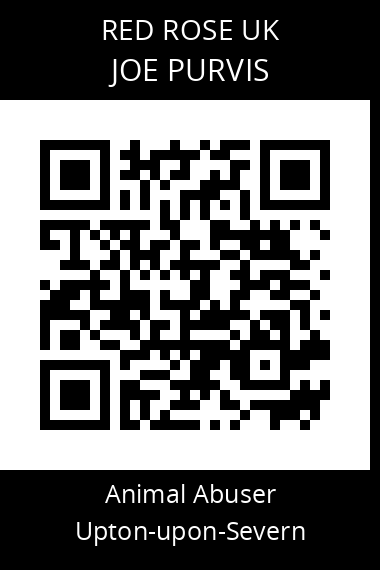 QR code for joe-purvis
