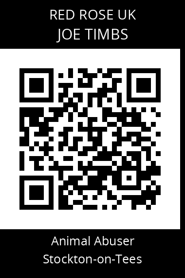 QR code for joe-timbs