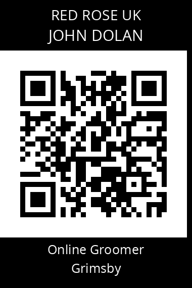 QR code for john-dolan-4