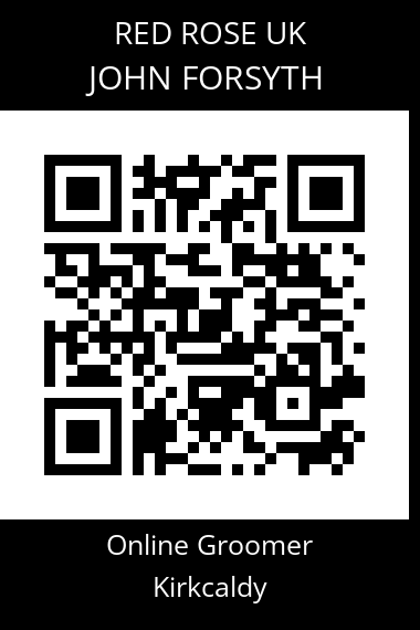 QR code for john-forsyth-4