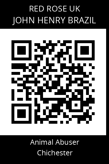 QR code for john-henry-brazil