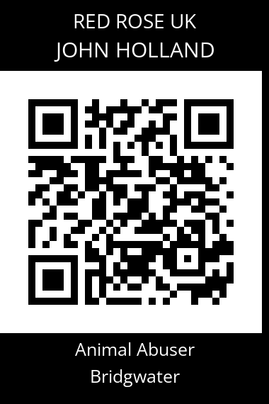 QR code for john-holland