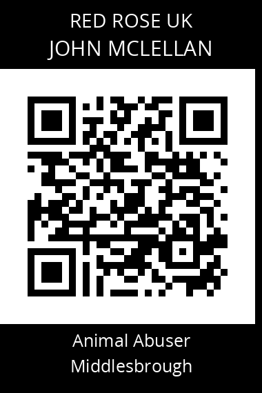 QR code for john-mclellan