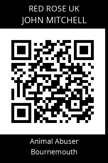 QR code for john-mitchell-2