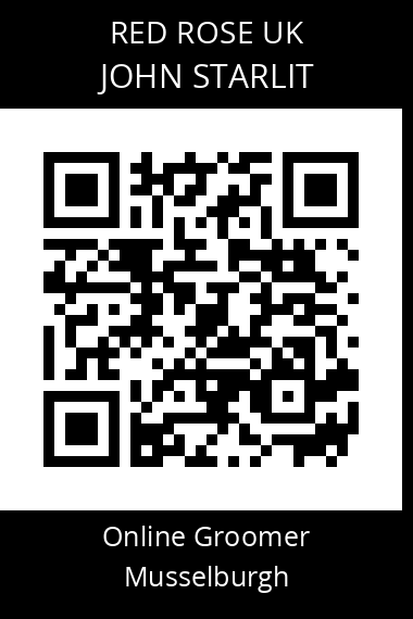 QR code for john-starlit