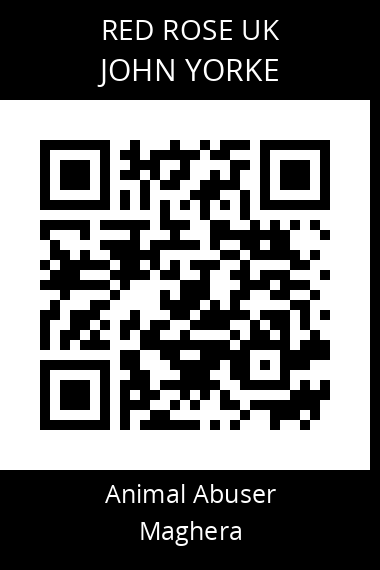 QR code for john-yorke