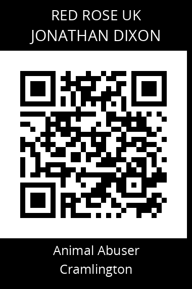 QR code for jonathan-dixon