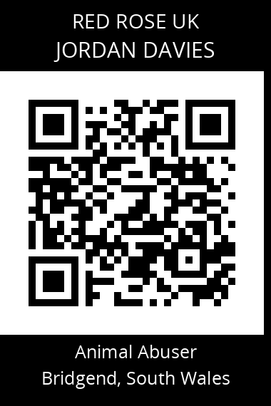 QR code for jordan-davies-1