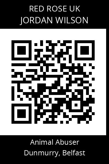 QR code for jordan-wilson