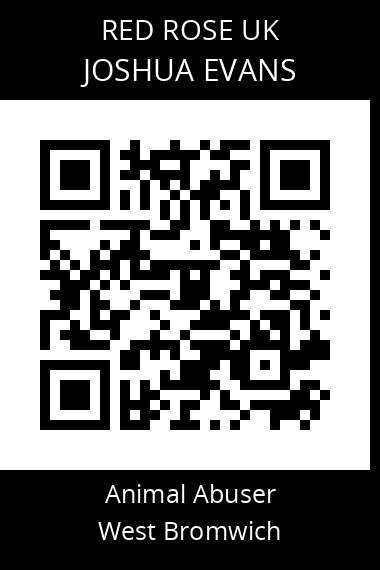 QR code for joshua-evans-1