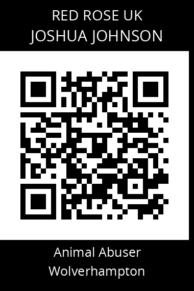 QR code for joshua-johnson