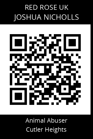 QR code for joshua-nicholls