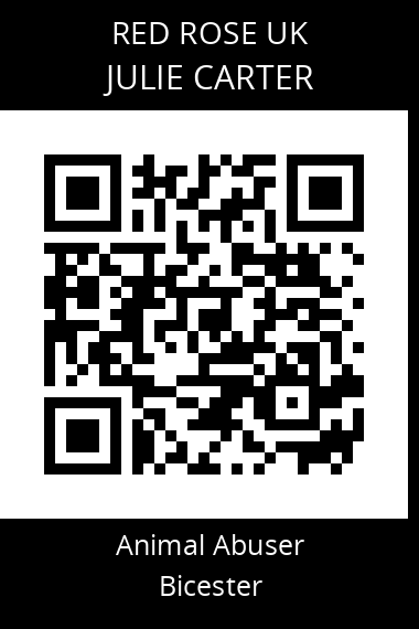 QR code for julie-carter