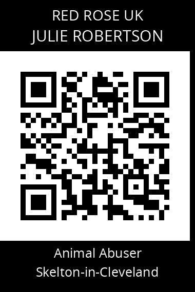 QR code for julie-robertson