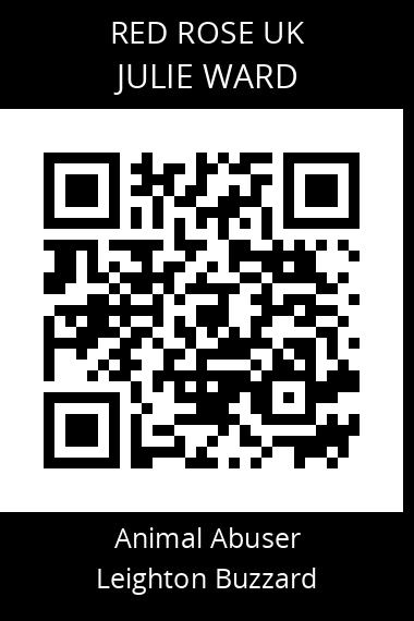 QR code for julie-ward