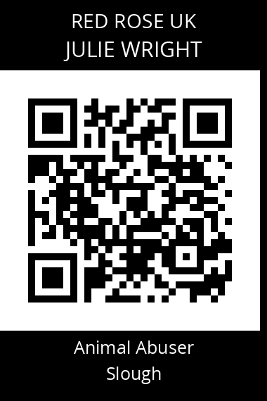 QR code for julie-wright