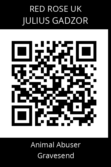 QR code for julius-gadzor