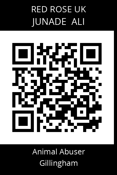 QR code for junade-ali