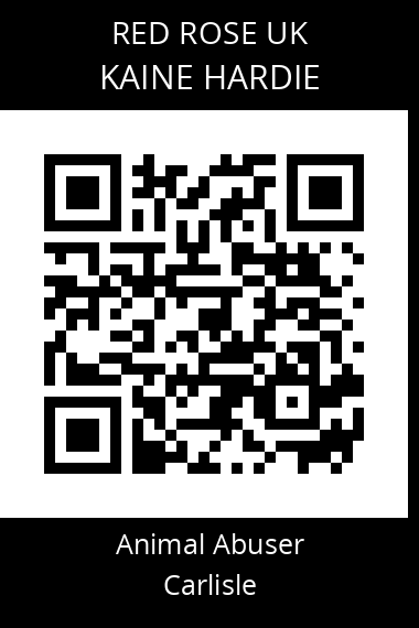QR code for kaine-hardie