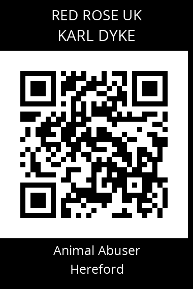 QR code for karl-dyke