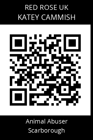QR code for katey-cammish