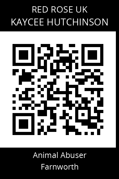 QR code for kaycee-hutchinson