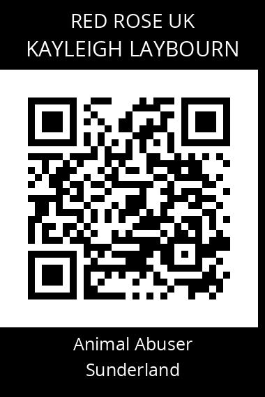 QR code for kayleigh-laybourn