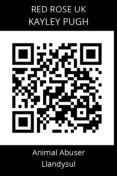 QR code for kayley-pugh