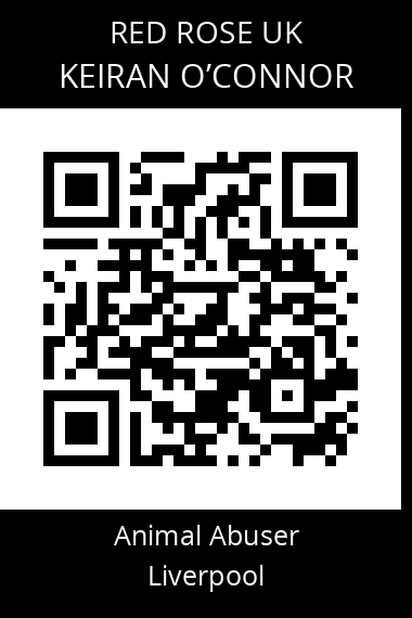 QR code for keiran-oconnor-2