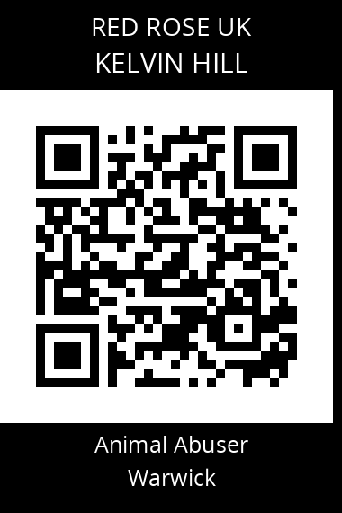 QR code for kelvin-hill
