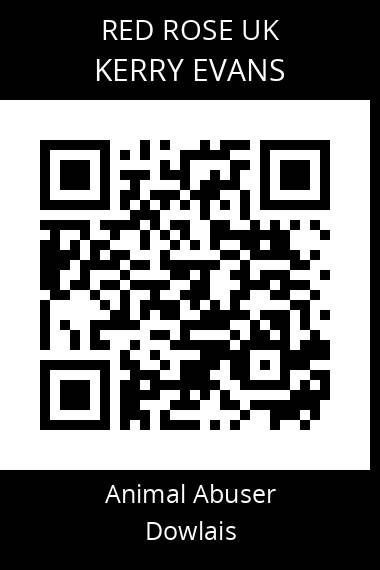 QR code for kerry-evans