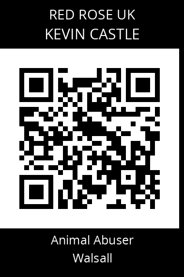 QR code for kevin-castle-1