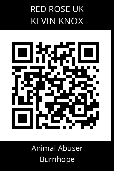 QR code for kevin-knox-1