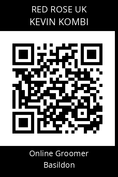 QR code for kevin-kombi