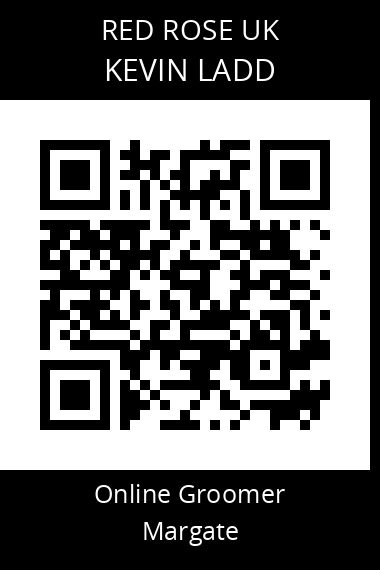 QR code for kevin-ladd
