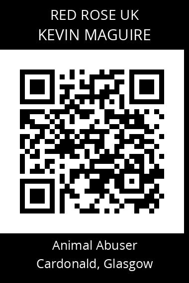 QR code for kevin-maguire
