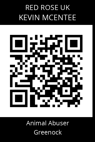 QR code for kevin-mcentee