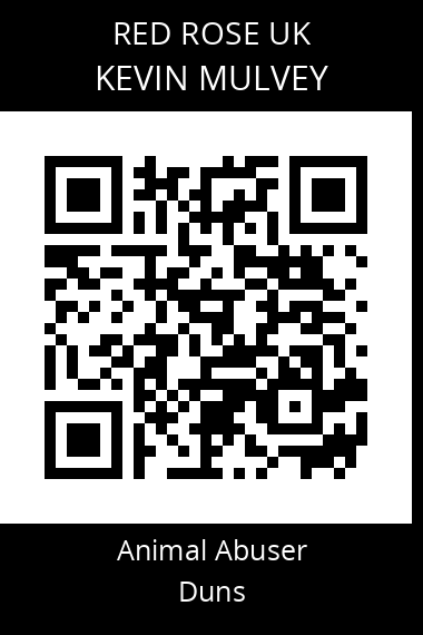 QR code for kevin-mulvey